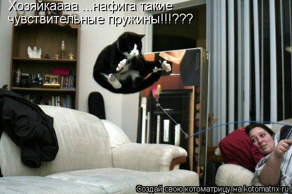 Котоматрица: Хозяйкаааа ...нафига такие  чувствительные пружины!!!???