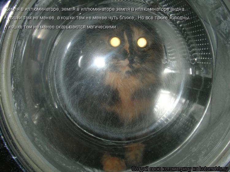 Котоматрица: Земля в иллюминаторе, земля в иллюминаторе земля в иллюминаторе видна... А кошки тем не менее, а кошки тем не менее чyть ближе,  Но все также хо