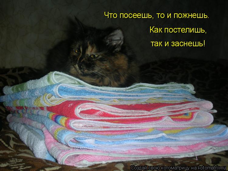 Котоматрица: Что посеешь, то и пожнешь. Как постелишь, так и заснешь!