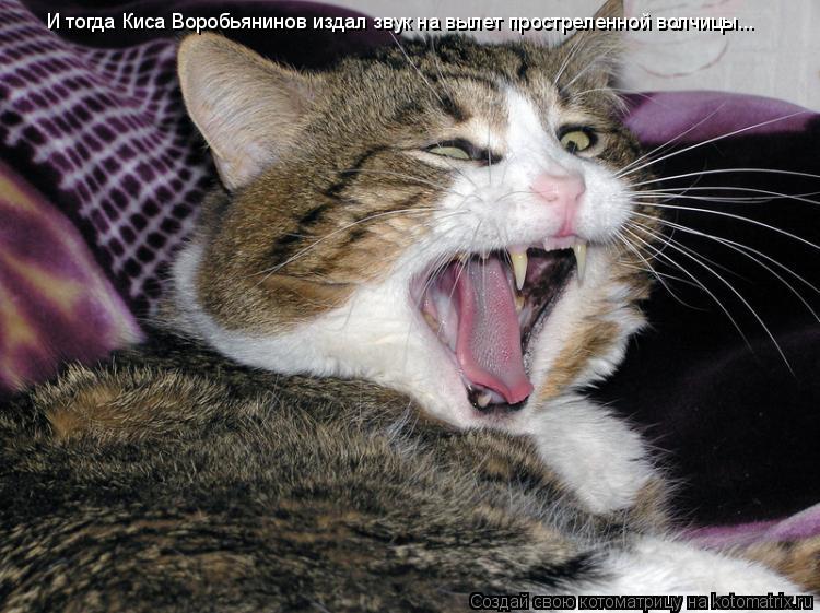Котоматрица: И тогда Киса Воробьянинов издал звук на вылет простреленной волчицы...