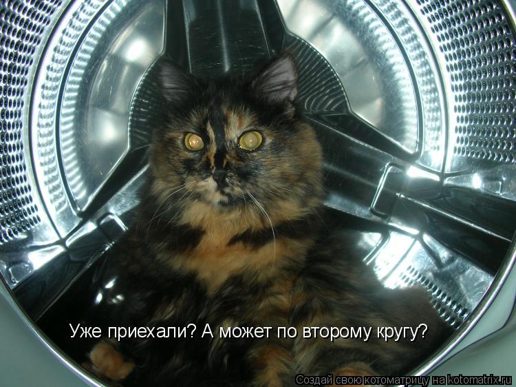 Котоматрица: Уже приехали? А может по второму кругу?