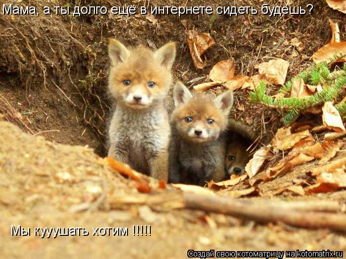 Котоматрица: Мама, а ты долго ещё в интернете сидеть будешь? Мы кууушать хотим !!!!!