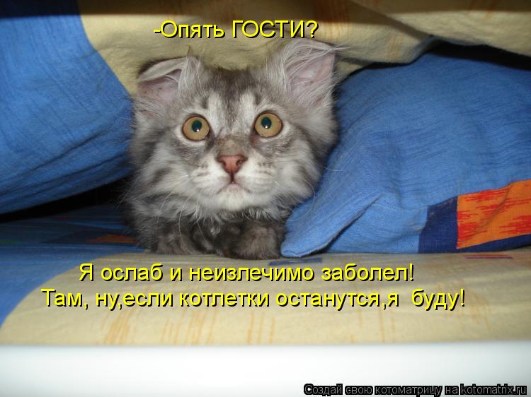 Котоматрица: -Опять ГОСТИ? Я ослаб и неизлечимо заболел! Там, ну,если котлетки останутся,я  буду!