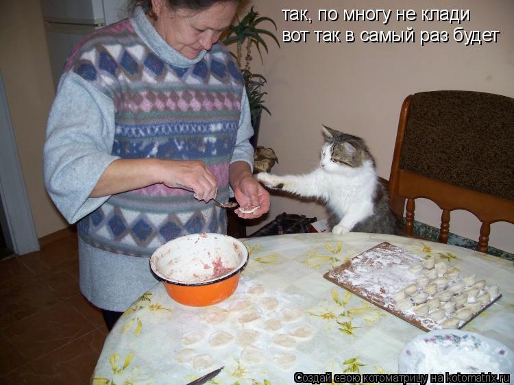 Котоматрица: так, по многу не клади вот так в самый раз будет