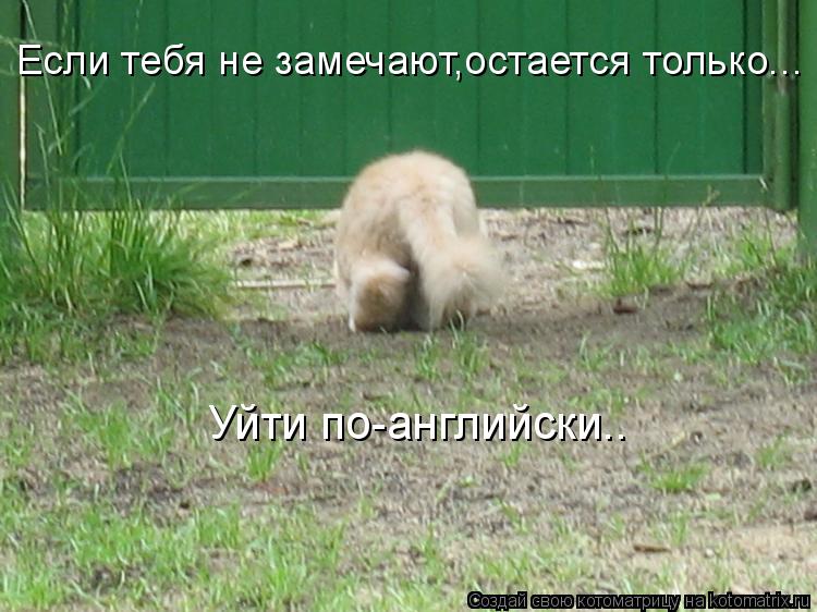 Уйти по-английски.. Если тебя не замечают,остается только...... Котоматрица: Уйти по-английски.. Если тебя не замечают,остается только...