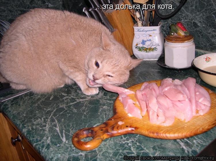 ...эта долька для кота.... Котоматрица: ...эта долька для кота.