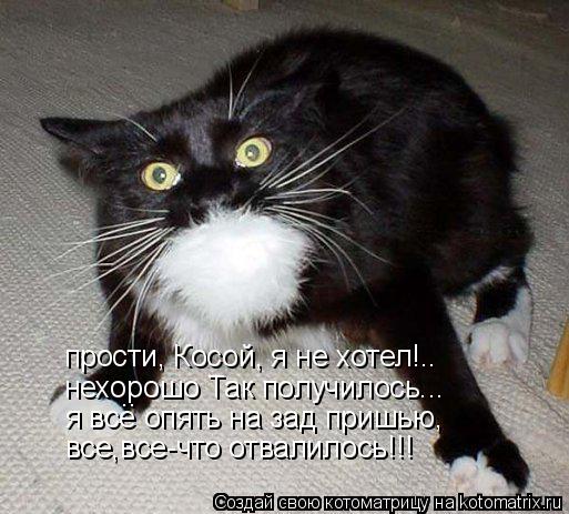 прости, Косой, я не хотел!.. нехорошо Так получилось... я все опять на зад пришью, .. все,все-что отв... Котоматрица: прости, Косой, я не хотел!.. нехорошо Так получилось... я все опять на зад пришью, .. все,все-что отвалилось!!!