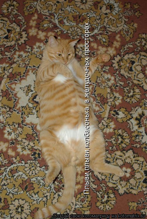 Плыви,плыви,колбасонька, в желудочных просторах....... Котоматрица: Плыви,плыви,колбасонька, в желудочных просторах....