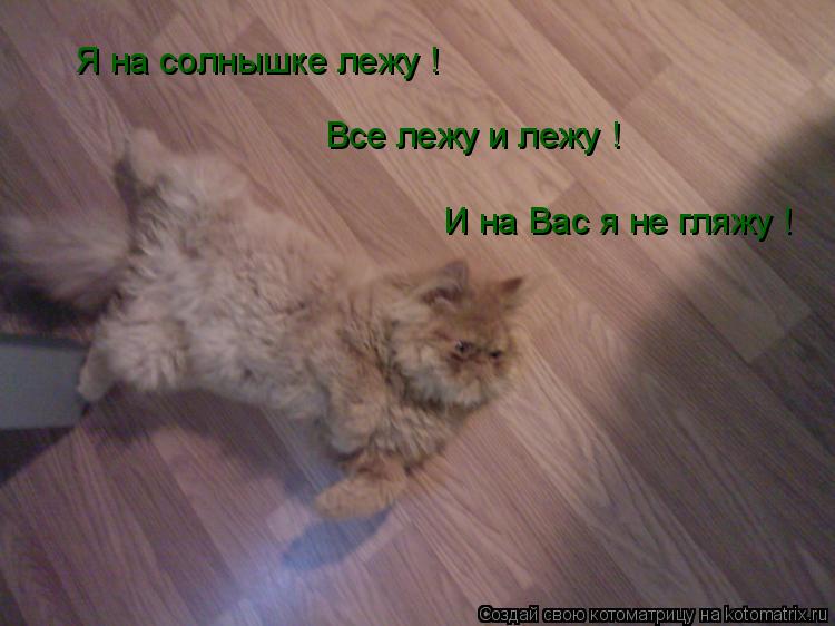 Я на солнышке лежу ! Все лежу и лежу ! И на Вас я не гляжу !... Котоматрица: Я на солнышке лежу ! Все лежу и лежу ! И на Вас я не гляжу !