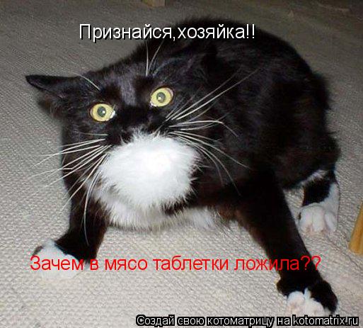 Признайся,хозяйка!! Зачем в мясо таблетки ложила??... Котоматрица: Признайся,хозяйка!! Зачем в мясо таблетки ложила??