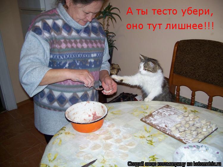 А ты тесто убери,оно тут лишнее!!! А ты тесто убери, оно тут лишнее!!!... Котоматрица: А ты тесто убери,оно тут лишнее!!! А ты тесто убери, оно тут лишнее!!!