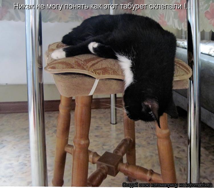 Никак не могу понять как этот табурет склепали !..... Котоматрица: Никак не могу понять как этот табурет склепали !..