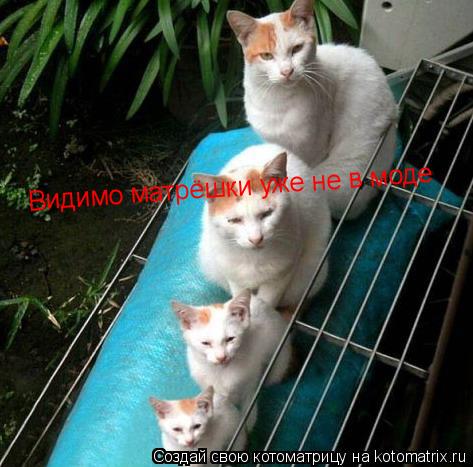 Котоматрица: Видимо матрёшки уже не в моде