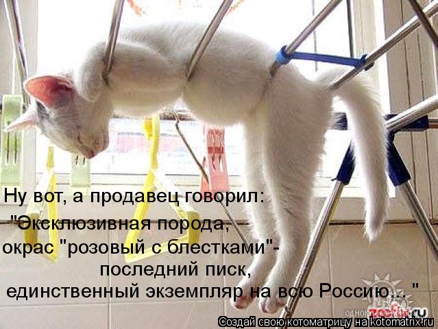 Котоматрица: Ну вот, а продавец говорил:  "Эксклюзивная порода,  окрас "розовый с блестками"-  последний писк,  единственный экземпляр на всю Россию... "