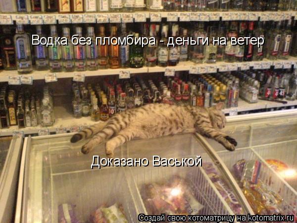 Котоматрица: Водка без пломбира - деньги на ветер Доказано Васькой