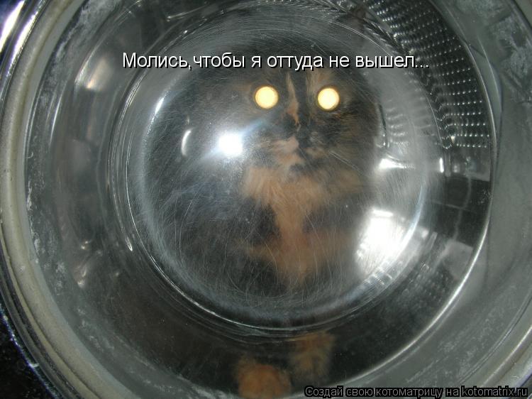 Котоматрица: Молись,чтобы я оттуда не вышел...