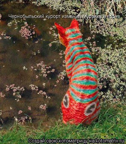 Котоматрица: Чернобыльский курорт изменил Мурзика в корне