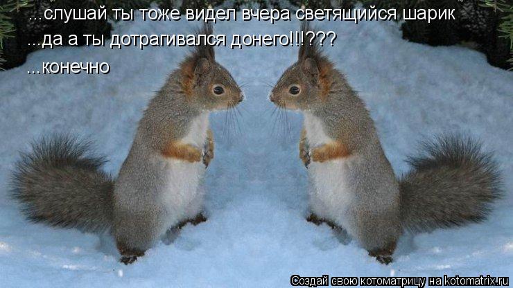 ...слушай ты тоже видел вчера светящийся шарик ...да а ты дотрагивался донего!!!??? ...да а ты дотраг... Котоматрица: ...слушай ты тоже видел вчера светящийся шарик ...да а ты дотрагивался донего!!!??? ...да а ты дотрагивался донего!!!??? ...конечно