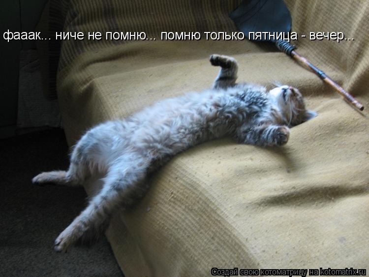 Котоматрица: фааак... ниче не помню... помню только пятница - вечер...