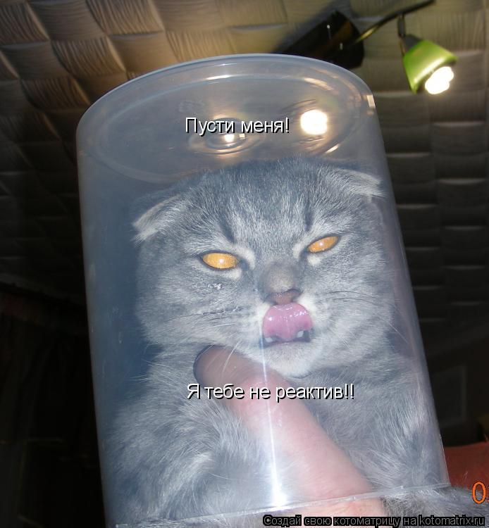 Котоматрица: Пусти меня! Я тебе не реактив!!
