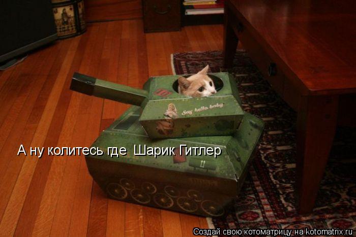 Котоматрица: А ну колитесь где  Шарик Гитлер