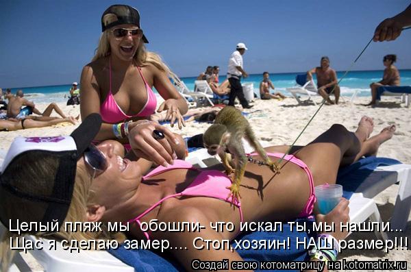 Котоматрица: Целый пляж мы  обошли- что искал ты,мы нашли... Щас я сделаю замер.... Стоп,хозяин! НАШ размер!!!