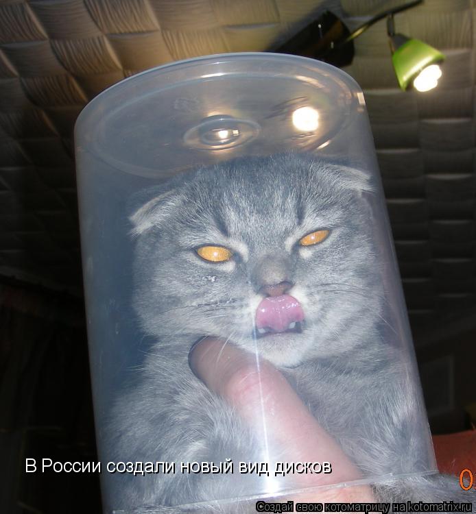 Котоматрица: В России создали новый вид дисков