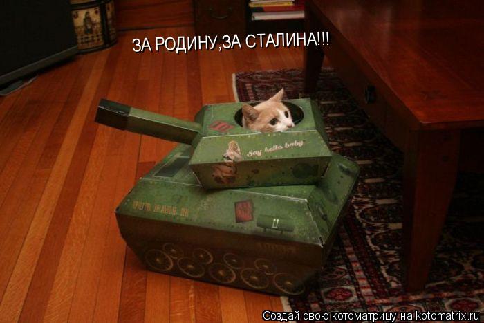 Котоматрица: ЗА РОДИНУ,ЗА СТАЛИНА!!!