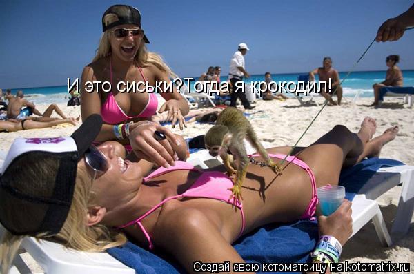 Котоматрица: И это сиськи?Тогда я крокодил!