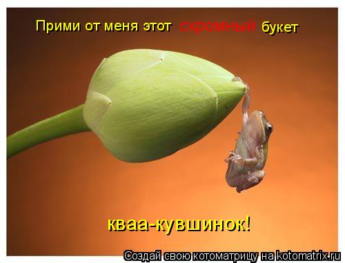 Котоматрица: Прими от меня этот               скромный            букет кваа-кувшинок!