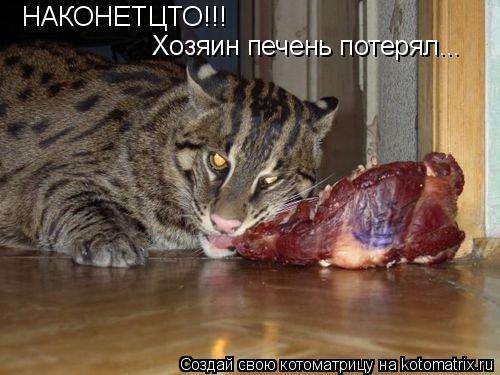НАКОНЕТЦТО!!! Хозяин печень потерял...... Котоматрица: НАКОНЕТЦТО!!! Хозяин печень потерял...