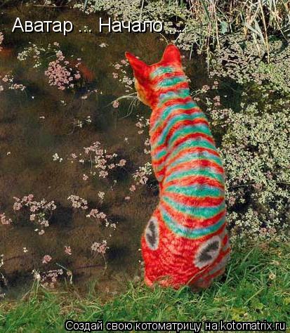 Котоматрица: Аватар ... Начало ...