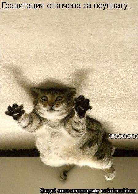 Котоматрица: ооооооооо Гравитация отклчена за неуплату...