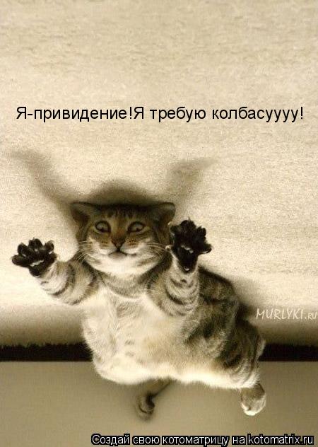 Котоматрица: Я-привидение!Я требую колбасуууу!