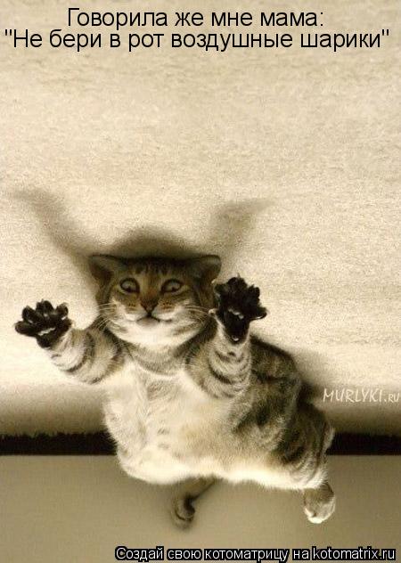 Котоматрица: Говорила же мне мама: "Не бери в рот воздушные шарики"