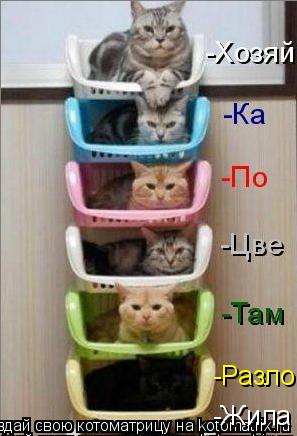 -Разло -Жила... Котоматрица: -Разло -Жила