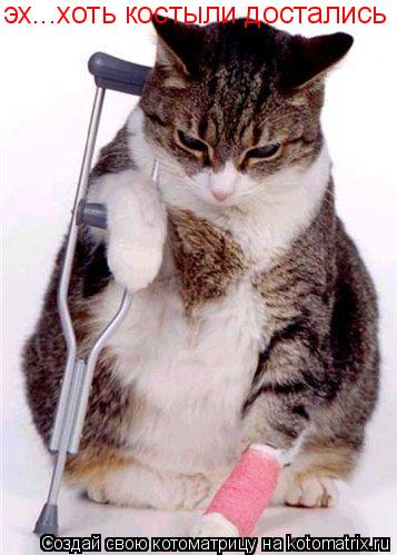 эх...хоть костыли достались... Котоматрица: эх...хоть костыли достались