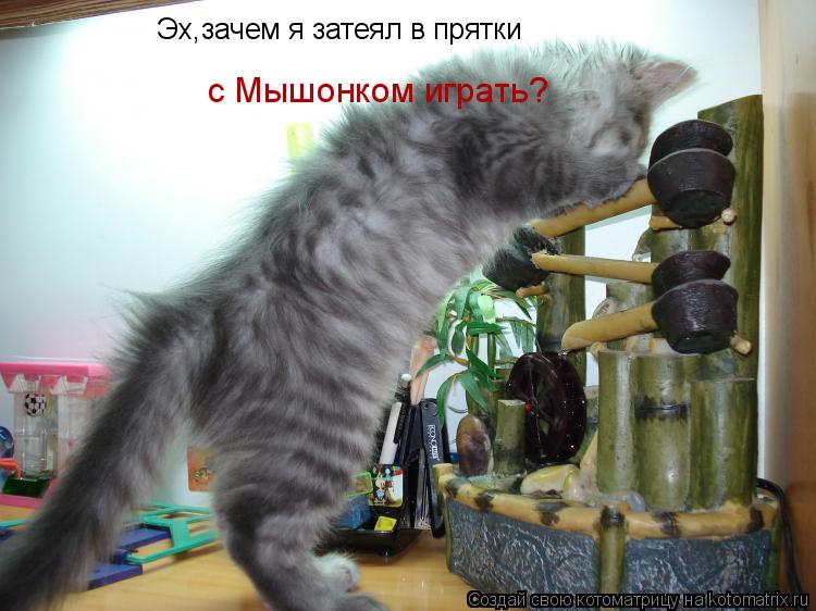 Эх,зачем я затеял в прятки с Мышонком играть?... Котоматрица: Эх,зачем я затеял в прятки с Мышонком играть?