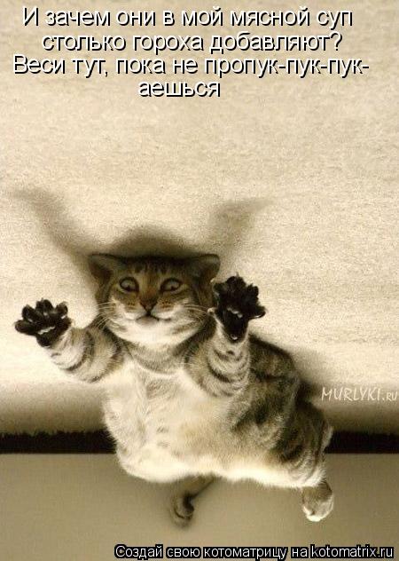 И зачем они в мой мясной суп столько гороха добавляют? Веси тут, пока не пропук-пук-пук- аешься... Котоматрица: И зачем они в мой мясной суп столько гороха добавляют? Веси тут, пока не пропук-пук-пук- аешься