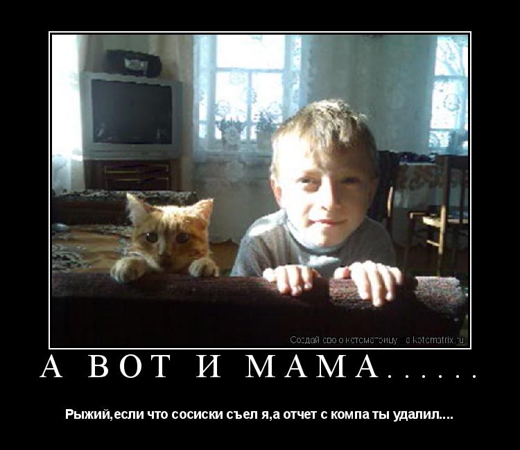Котоматрица: А вот и мама...... Рыжий,если что сосиски съел я,а отчет с компа ты удалил....