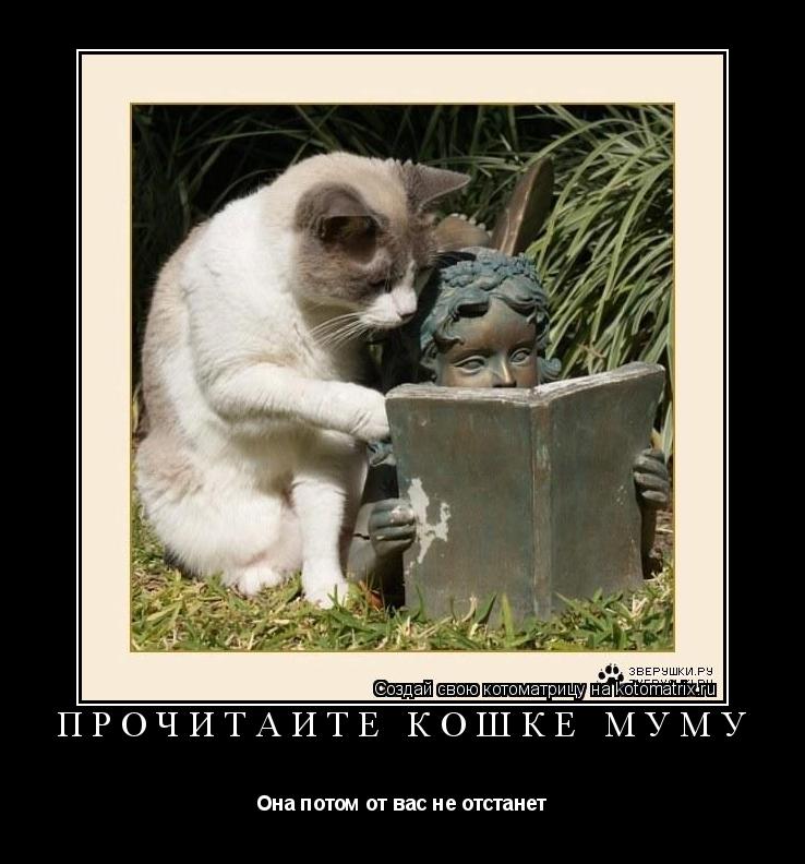 Прочитаите кошке Муму Она потом от вас не отстанет... Котоматрица: Прочитаите кошке Муму Она потом от вас не отстанет