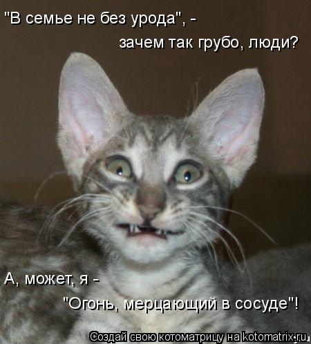 "В семье не без урода", - зачем так грубо, люди? "Огонь, мерцающий в сосуде"! А, может, я -... Котоматрица: "В семье не без урода", - зачем так грубо, люди? "Огонь, мерцающий в сосуде"! А, может, я -