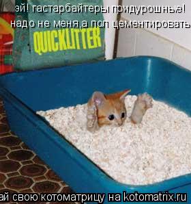 надо не меня,а пол цементировать эй! гастарбайтеры придурошные!... Котоматрица: надо не меня,а пол цементировать эй! гастарбайтеры придурошные!