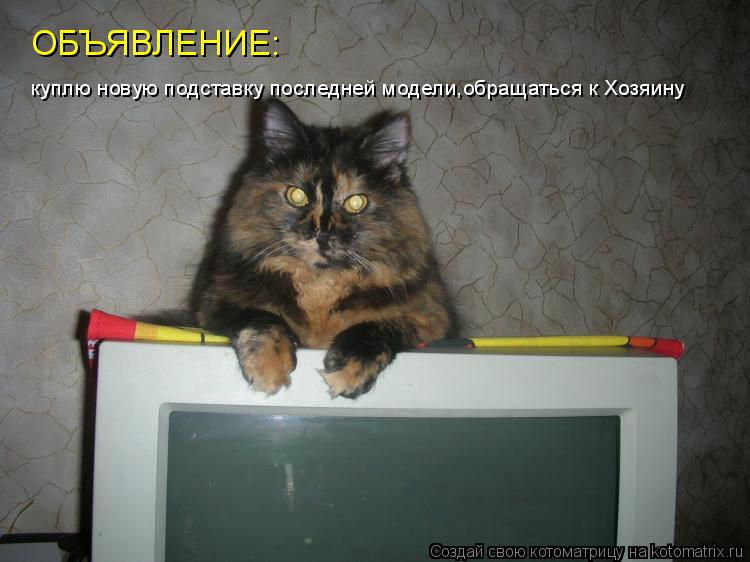 ОБЪЯВЛЕНИЕ: куплю новую подставку последней модели,обращаться к Хозяину... Котоматрица: ОБЪЯВЛЕНИЕ: куплю новую подставку последней модели,обращаться к Хозяину