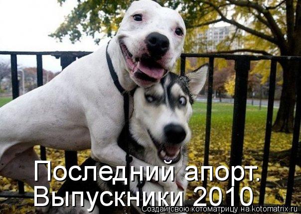 Последний апорт. Выпускники 2010... Котоматрица: Последний апорт. Выпускники 2010