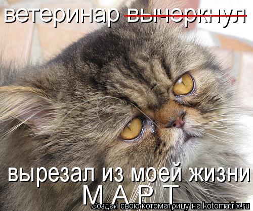 ветеринар вычеркнул вырезал из моей жизни МАРТ М А Р Т __________... Котоматрица: ветеринар вычеркнул вырезал из моей жизни МАРТ М А Р Т __________