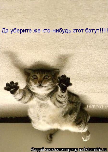 Да уберите же кто-нибудь этот батут!!!!!... Котоматрица: Да уберите же кто-нибудь этот батут!!!!!