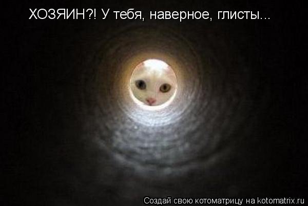 ХОЗЯИН?! У тебя, наверное, глисты...... Котоматрица: ХОЗЯИН?! У тебя, наверное, глисты...