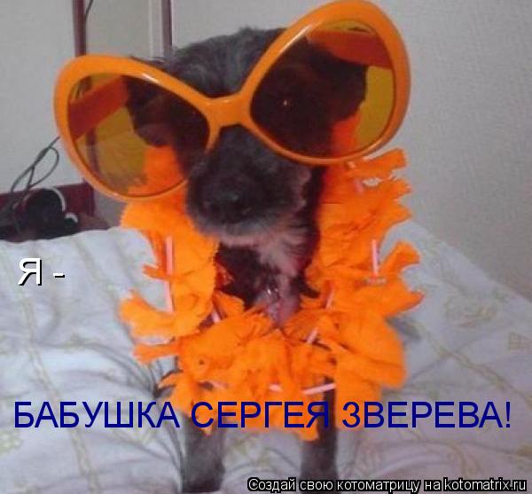 Котоматрица: Я - БАБУШКА СЕРГЕЯ ЗВЕРЕВА!