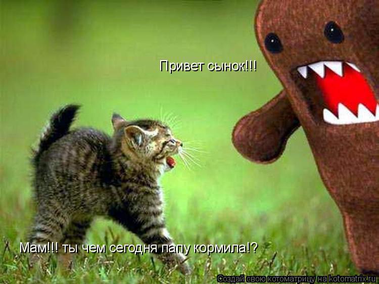 Котоматрица: Привет сынок!!! Мам!!! ты чем сегодня папу кормила!?